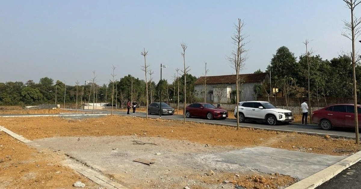 đất phân lô là gì — hình ảnh lô đất nền đã được phân chia