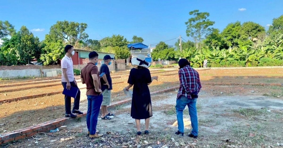 nhà đầu tư khảo sát đất nền phân lô Việt Nam